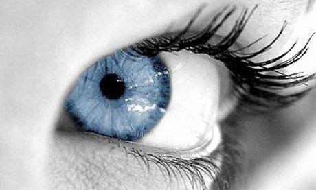 codenet-vision-abogados-bogota
